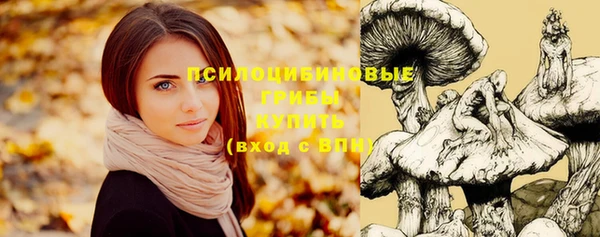 героин Ельня